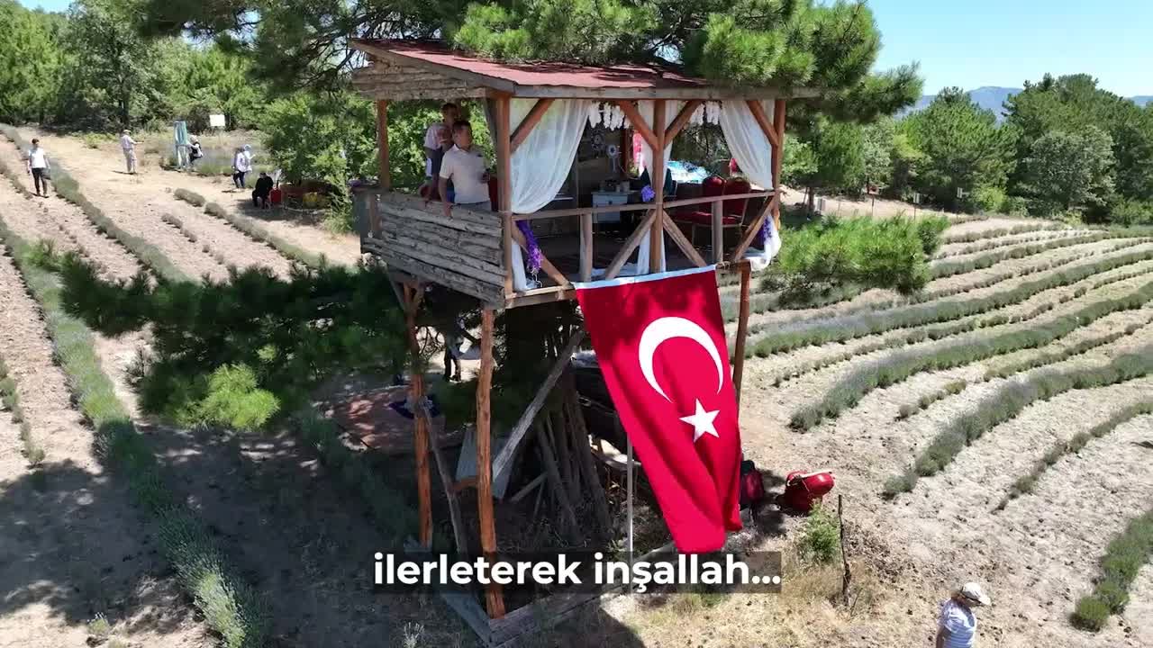 Nallıhan’da Lavanta Hasat Şenliği Coşkusu