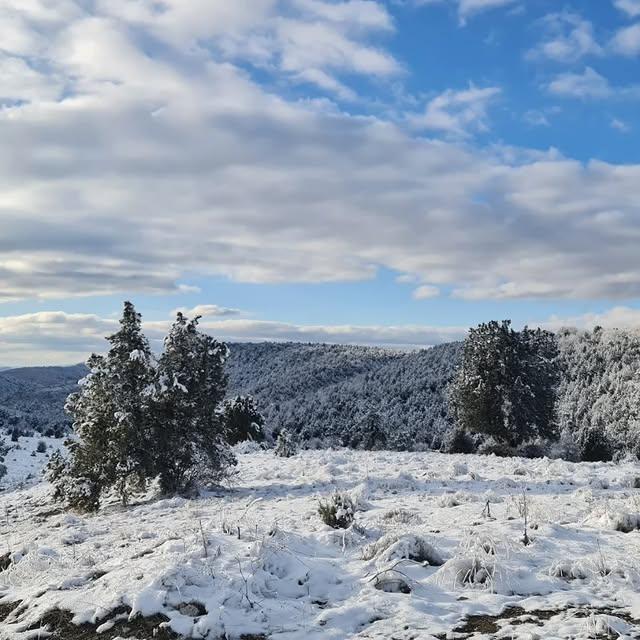 Hava Durumu: Çok Bulutlu ve Soğuk Bir Gün